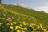 21 Sentiero Rifugio Capanna 2000